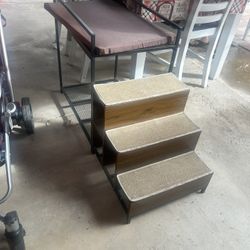 Dog Bunk Beds & Cats