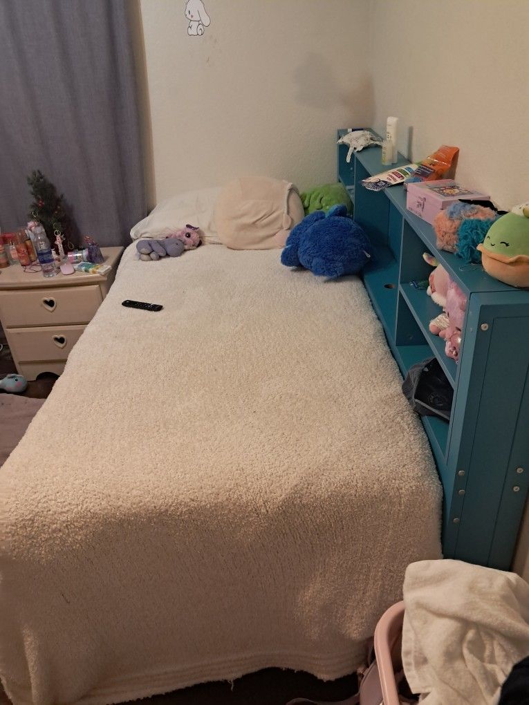 Twin Kids Bed With Twin Pullout