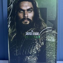 Hot Toys Mms447 Justice League Aquaman Action Figure 1/6