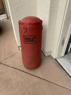Everlast Punching Bag.*