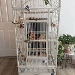 Prevue Pet Products Large Dome Top Bird Cage - Medium Steel Cage