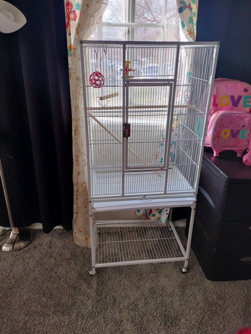 Bird Cage