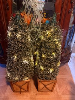 Outdoor trees with lights