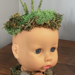 One Of A Kind Boy Doll Head Pot On Base With Live Aloe Vera plant 