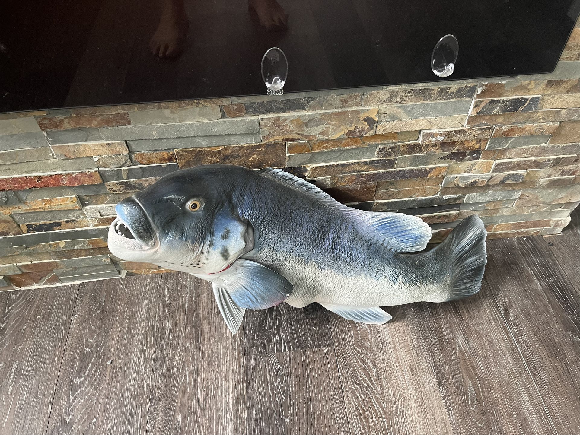 Large taxidermy fish
