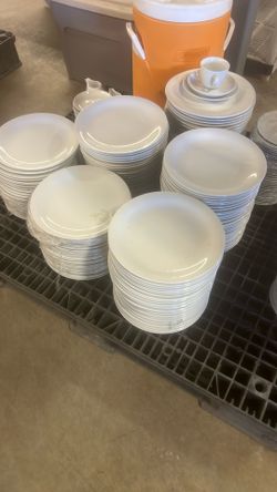 Dinner Plates