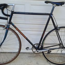 Centurion fixed gear road bike
