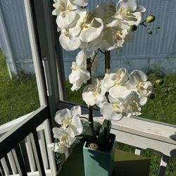 Faux Silk Orchid Arrangement in Vase