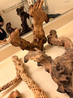 Natural driftwood