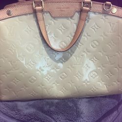 Louis Vuitton Brea Handbag