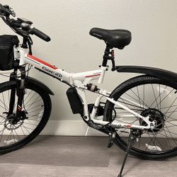26” Electric Bike 