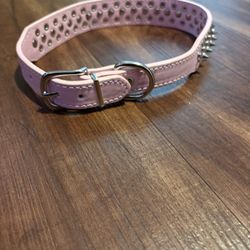 Dog Collar 