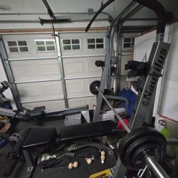 Home Gym Workout Bench Lap Pulldown Smith Machine Nautilus Olympic Bar