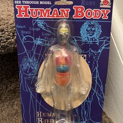 Human Body Science Dissection Toy Kit