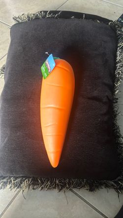 Carrot Squeeezy Squishy