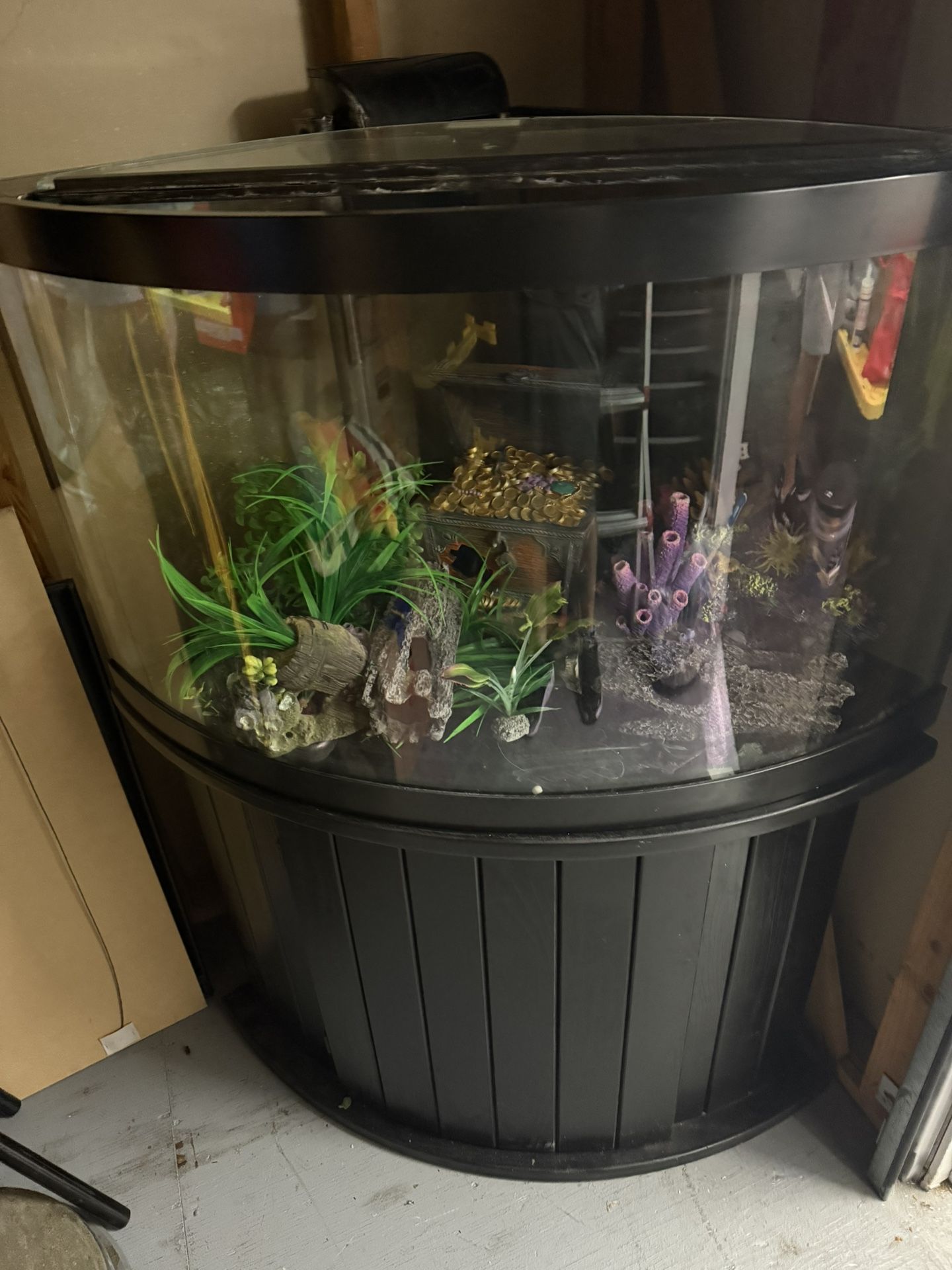 55 Gallon Fish Tank For Sale