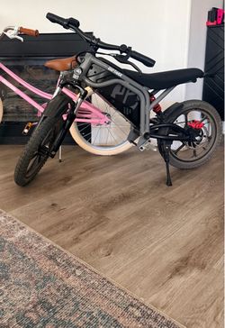 GO TRAX ELECTRIC  BIKE