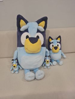 Bluey heeler