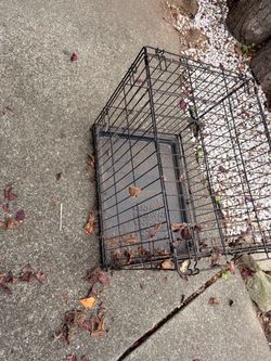 Rabbit/ chicken cage