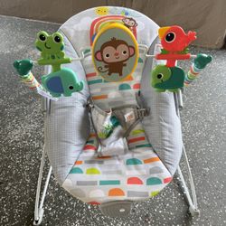 Baby Bounce Chair