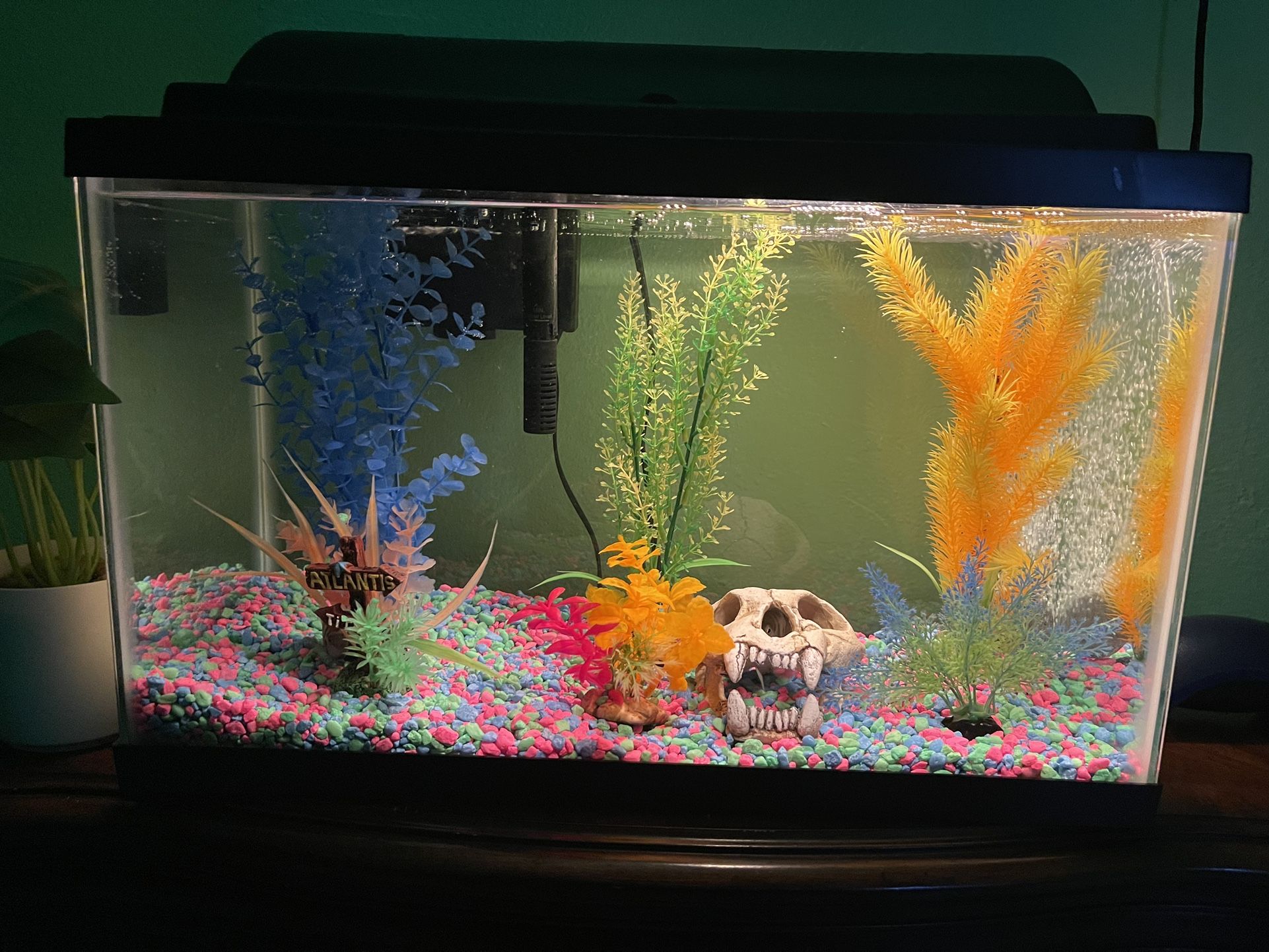 Fish Tank Aquarium 