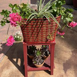 Plant Stand With Plants