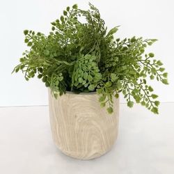 13" Tall Artifical Maiden Hair Fern Plant in Natural Wood Planter