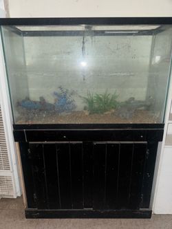 Fish tank with cabinet on bottom