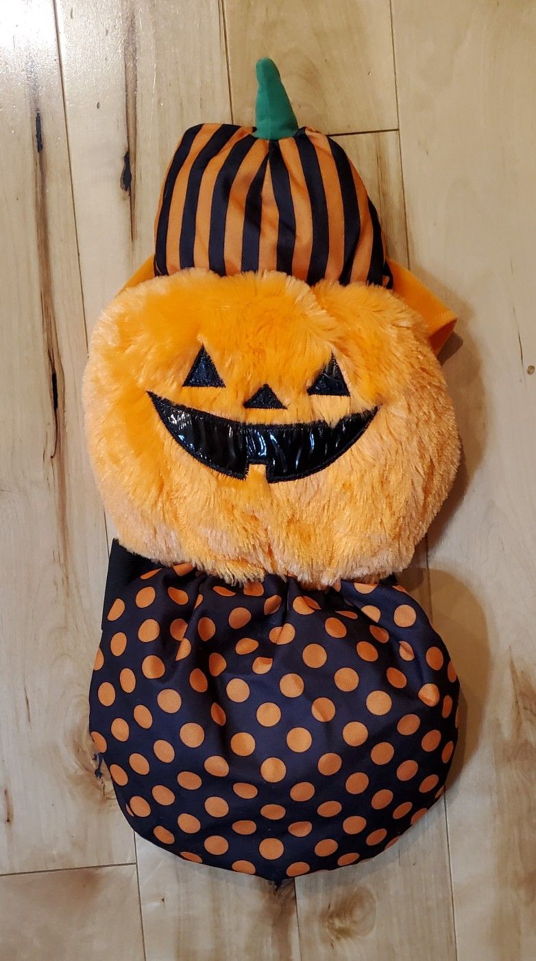 Pumpkin Dog Halloween Costume (M)