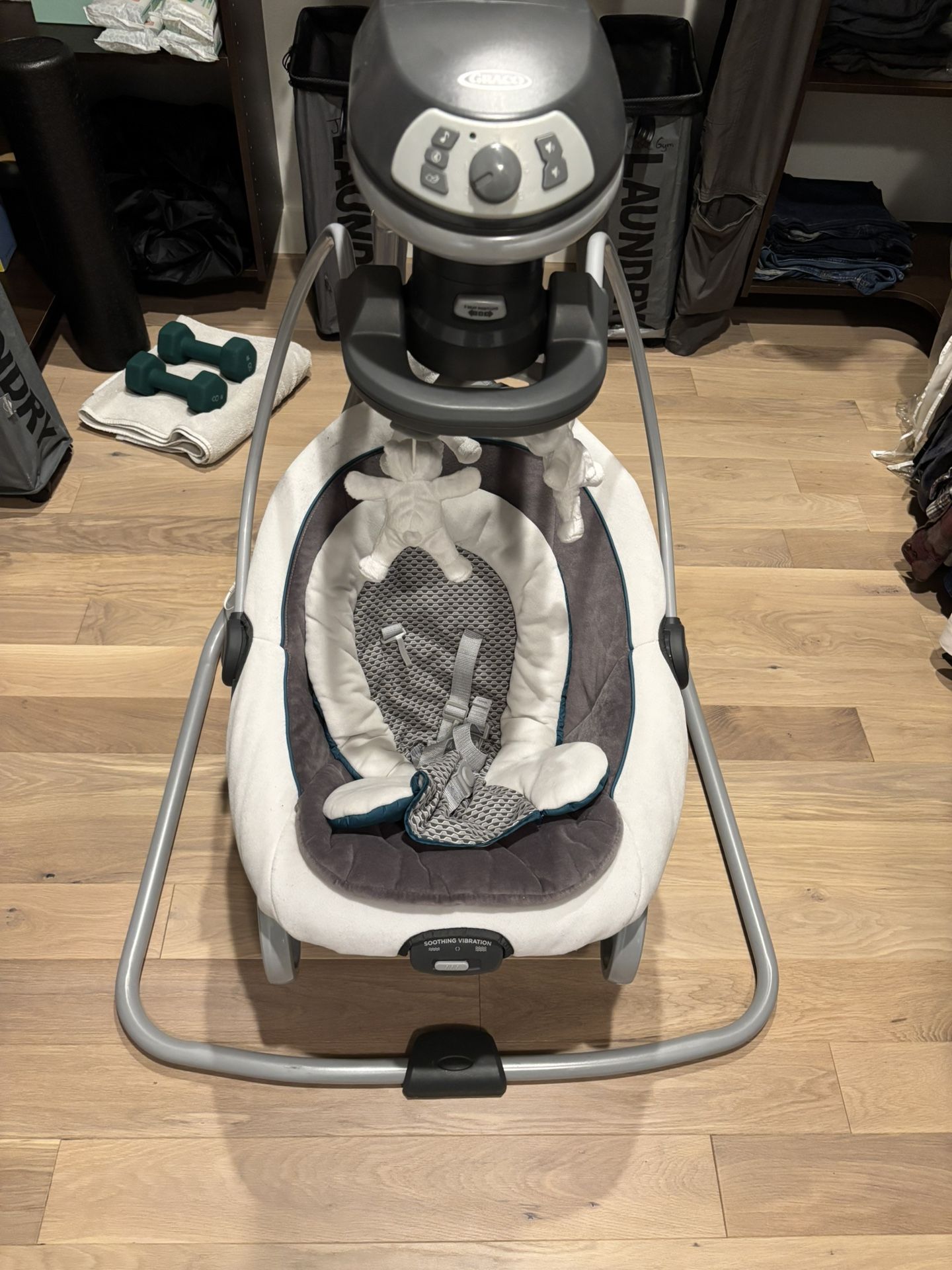 Graco DuetSoothe Swing