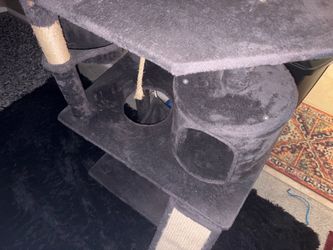Cat Tower home/house
