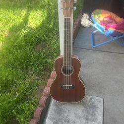 Ukulele 