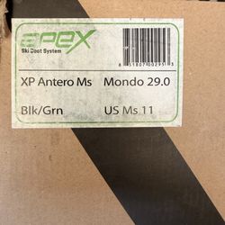 Apex Ski Boot System