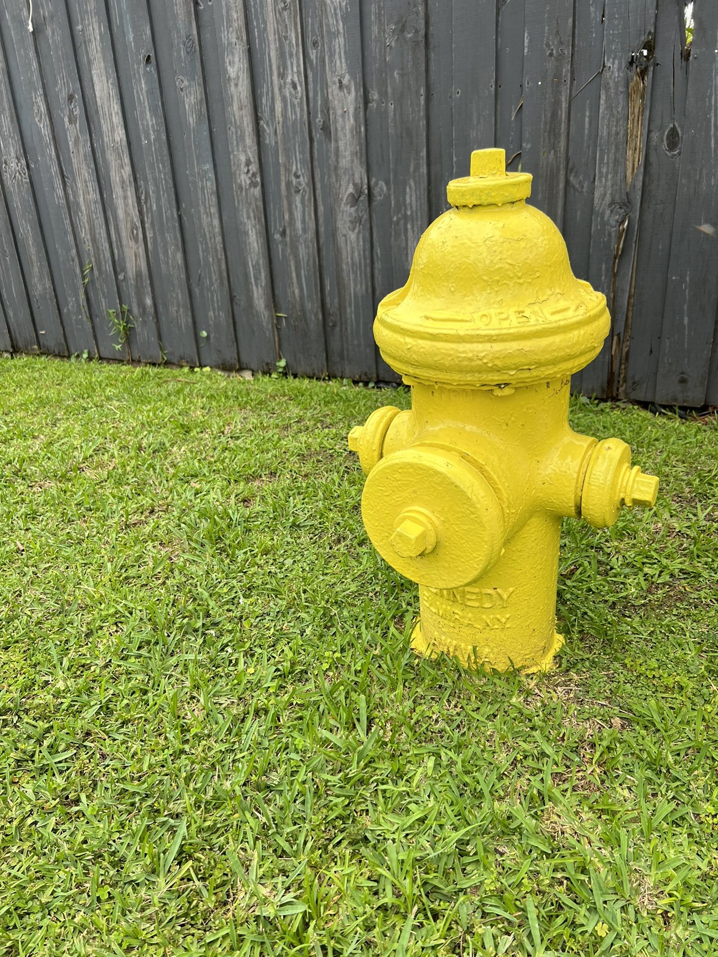 Cast Iron Fire Hydrant 