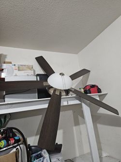 Ceiling Fan