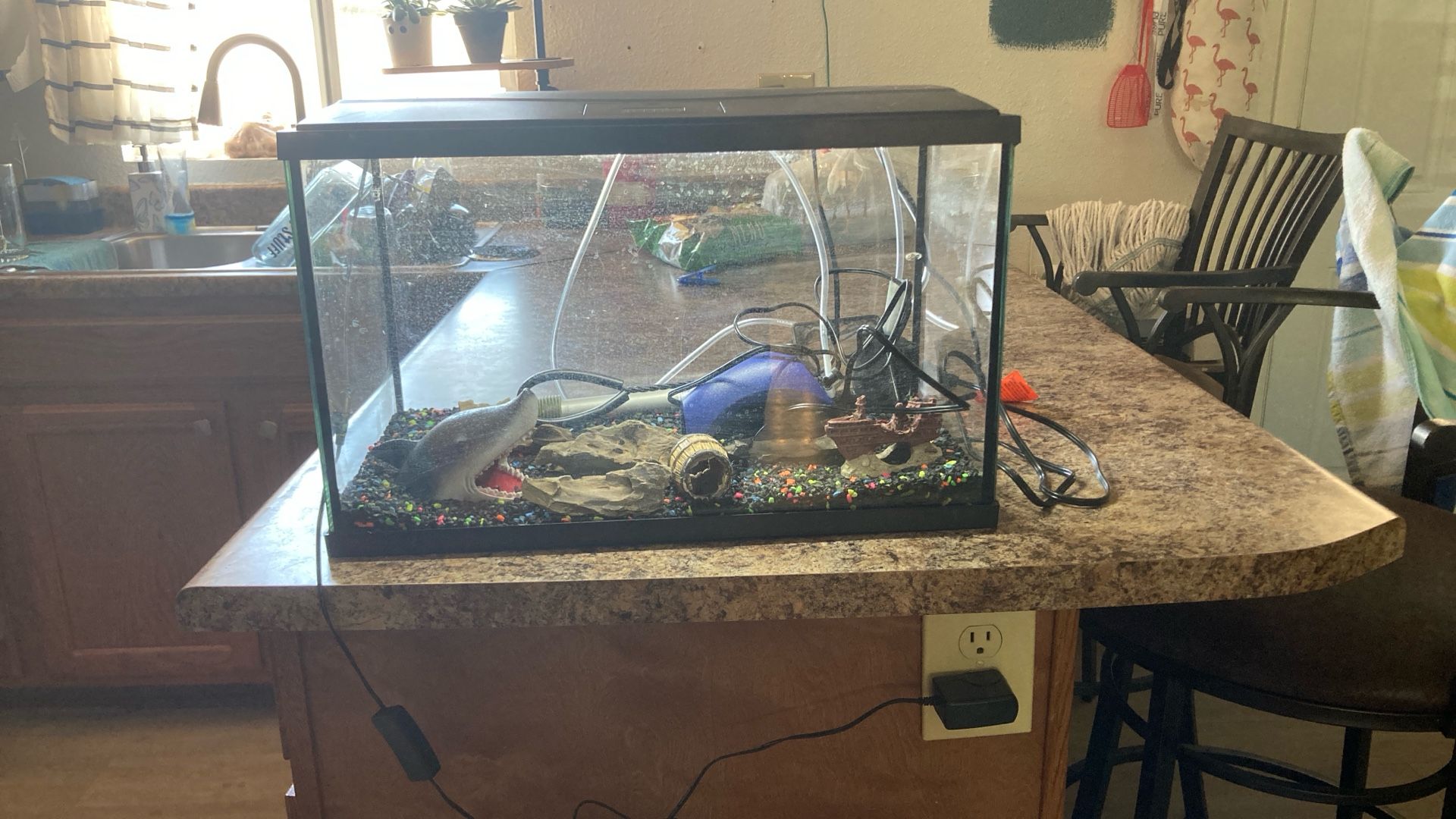 10gallon Fish Tank