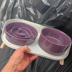 Elevated Slow Feeder Dog Bowls - New