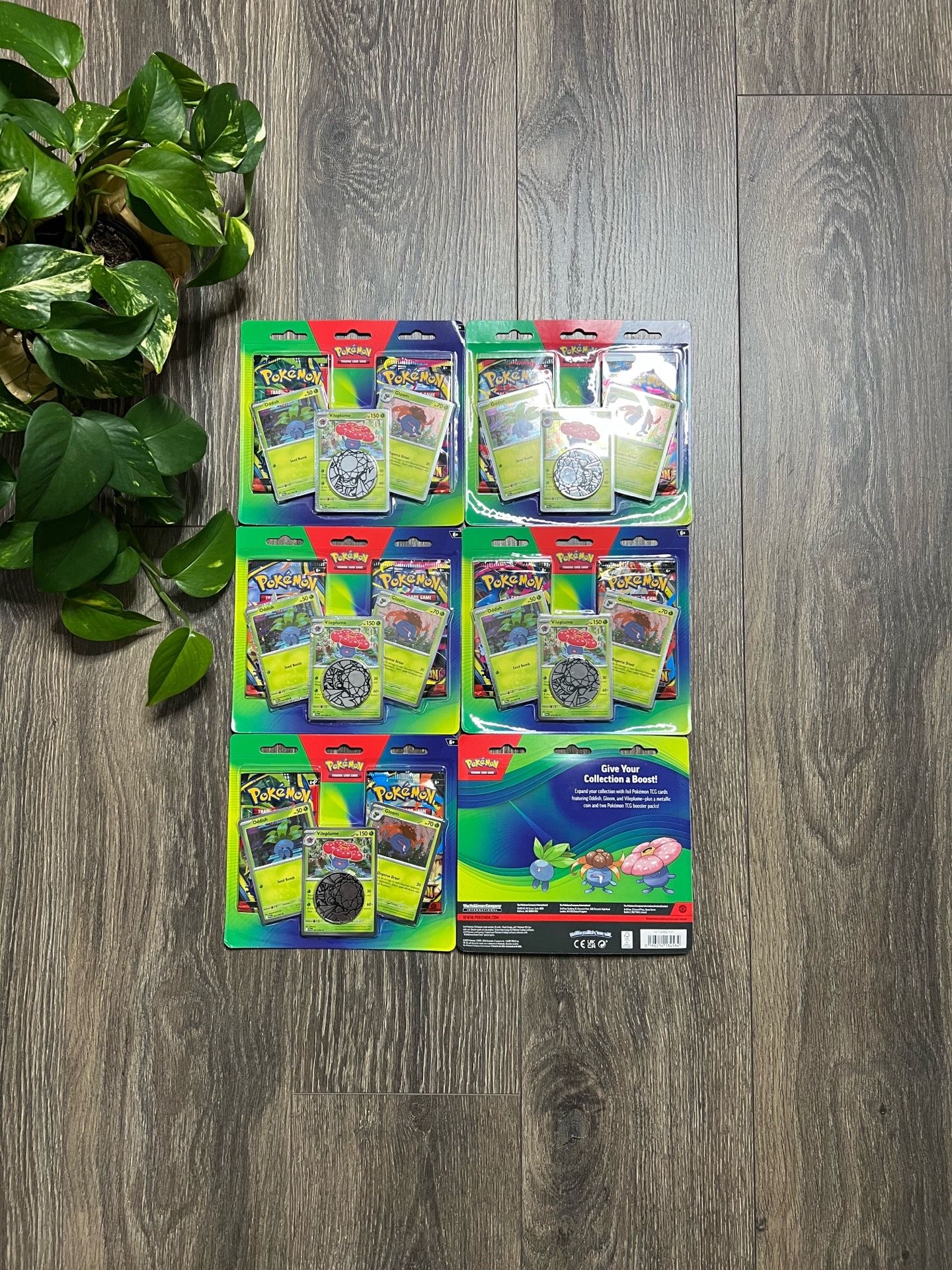 Pokemon TCG 2 Pack Blister (Mega Evolution: Phantasmal Flames & Mega Evolution) (Oddish, Vileplume, Gloom)