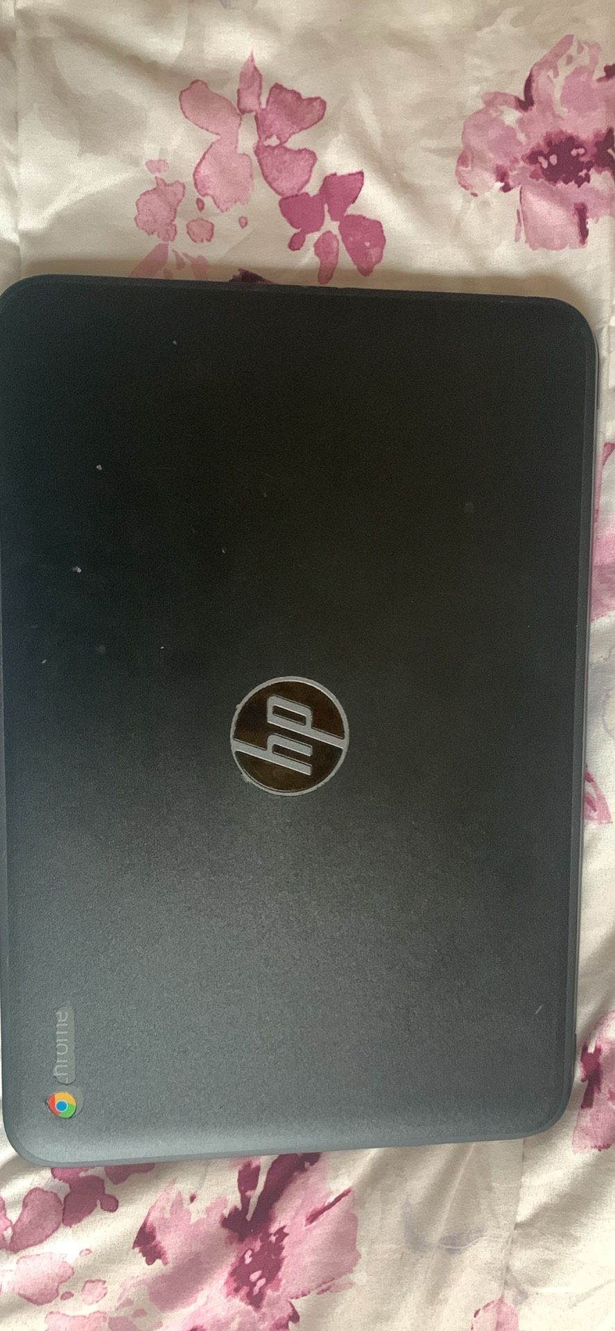 Hp Chromebook 