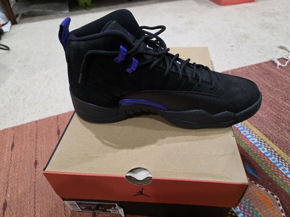 Jordan 12 Dark Concord Size 9.5