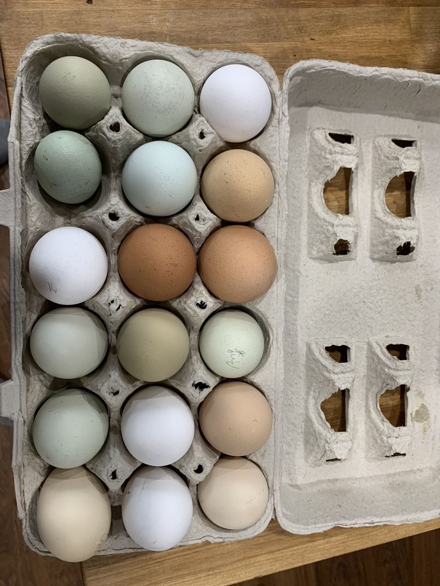 Free range eggs!