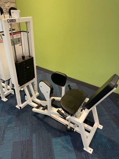 Cybex Inner / Outer Thigh Machines