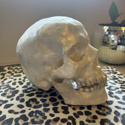 Skull Head