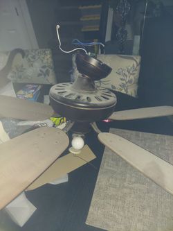 Ceiling fan with light