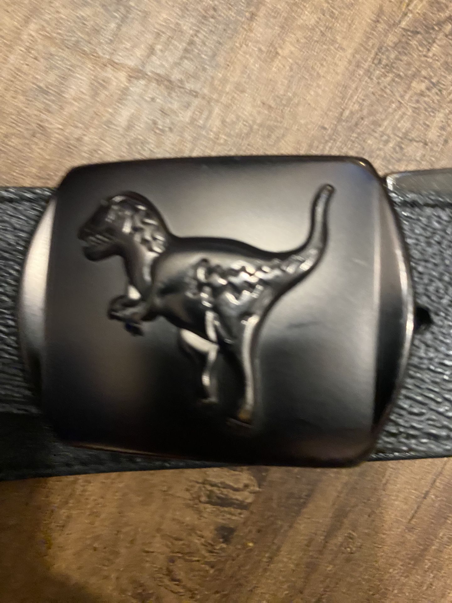 Rexy Coach Belt