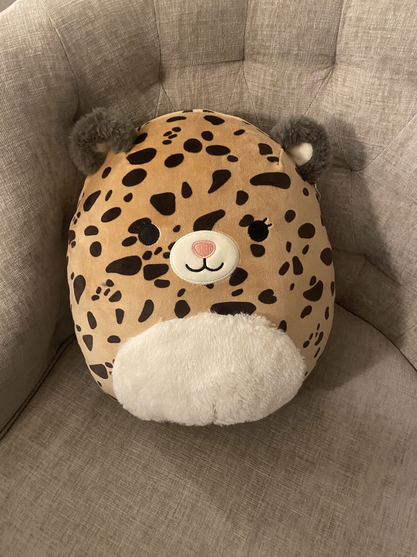Cheetah Squishmallow