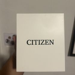 Stainless Steel Citizens watch.