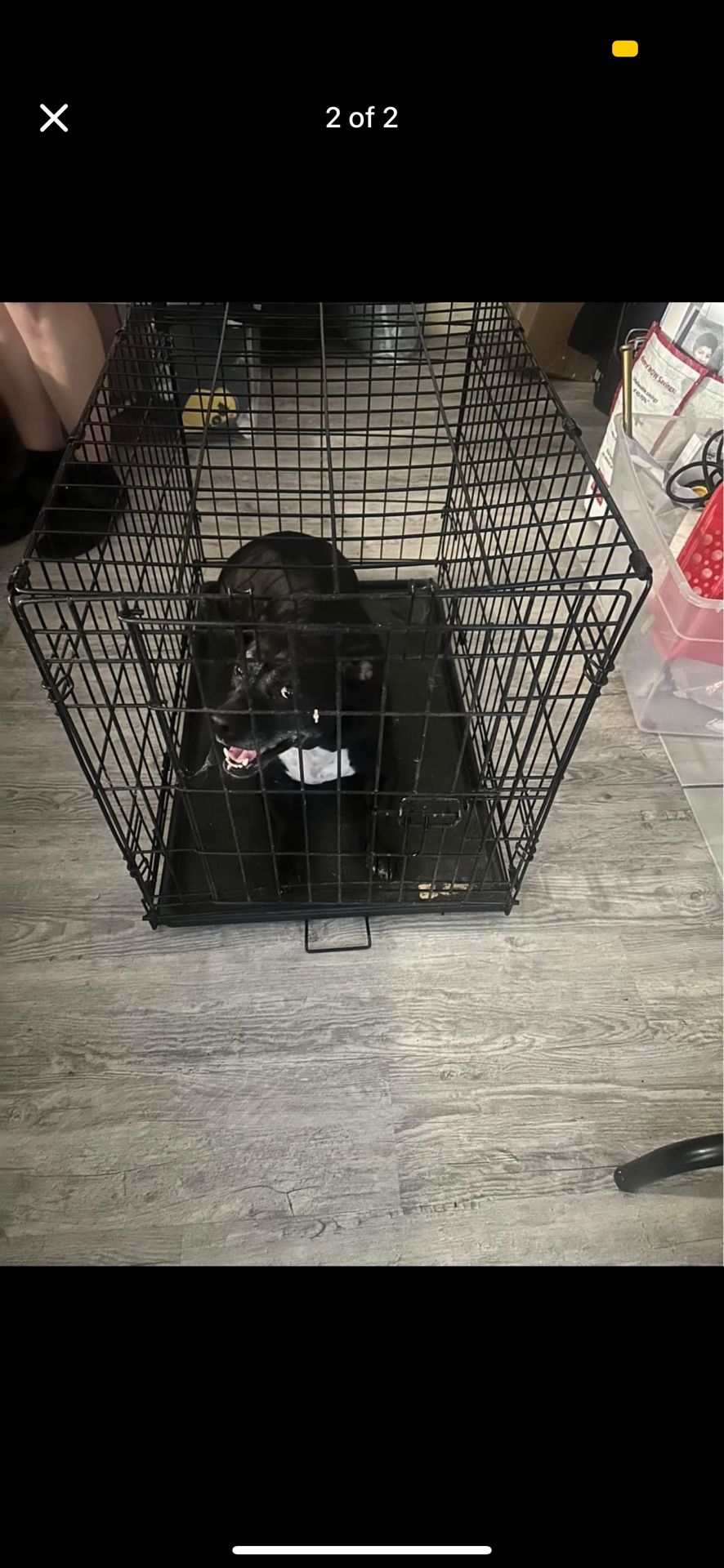Dog Crate 