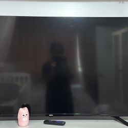 50 In Tv roku