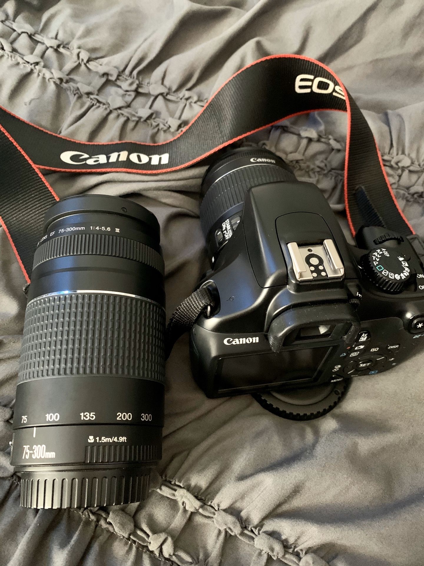 Canon T3 Rebel